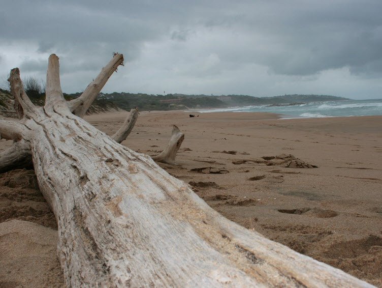 Trafalgar Beach , , South Africa